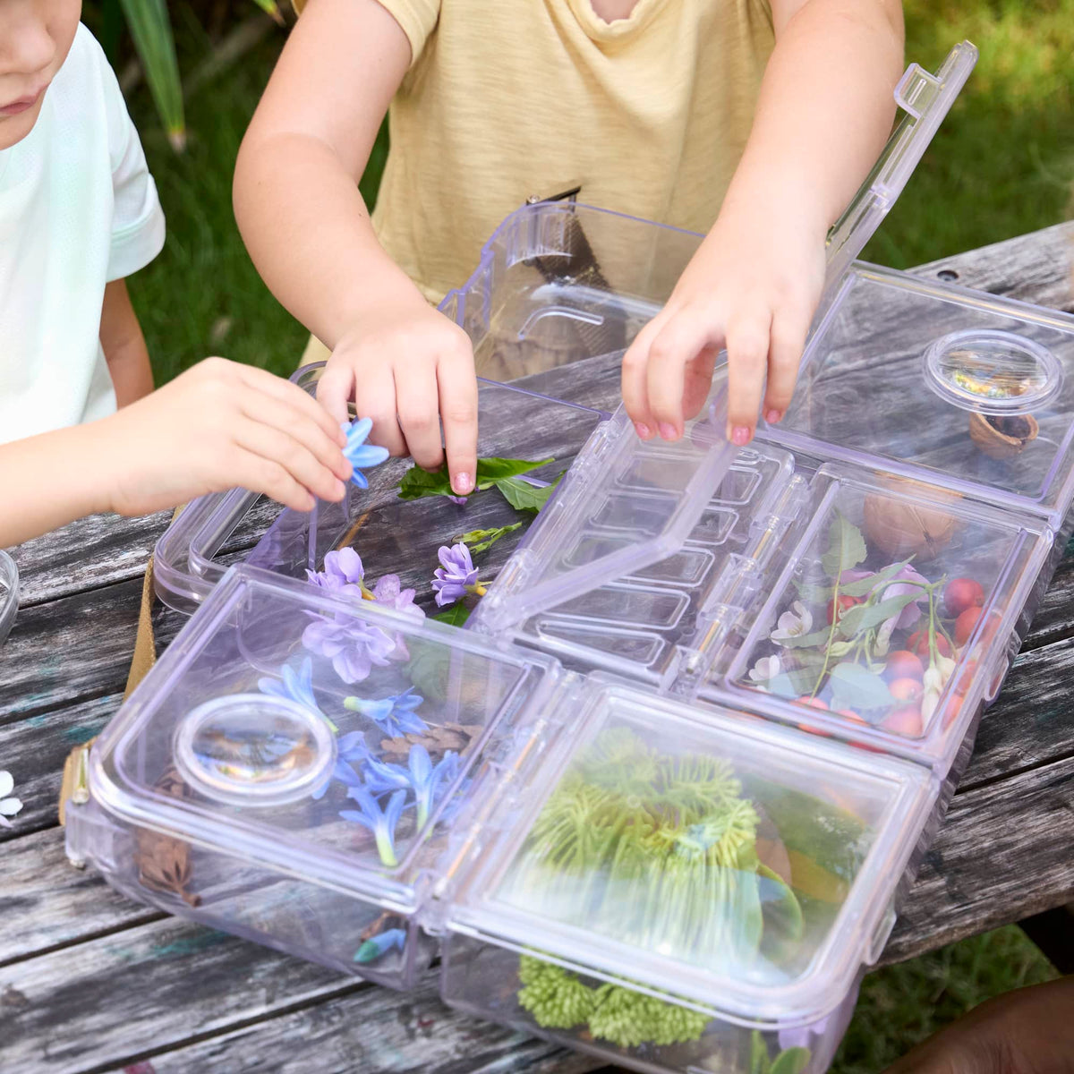 301349 Traveling Treasures Discovery Lab Lifestyle 208
