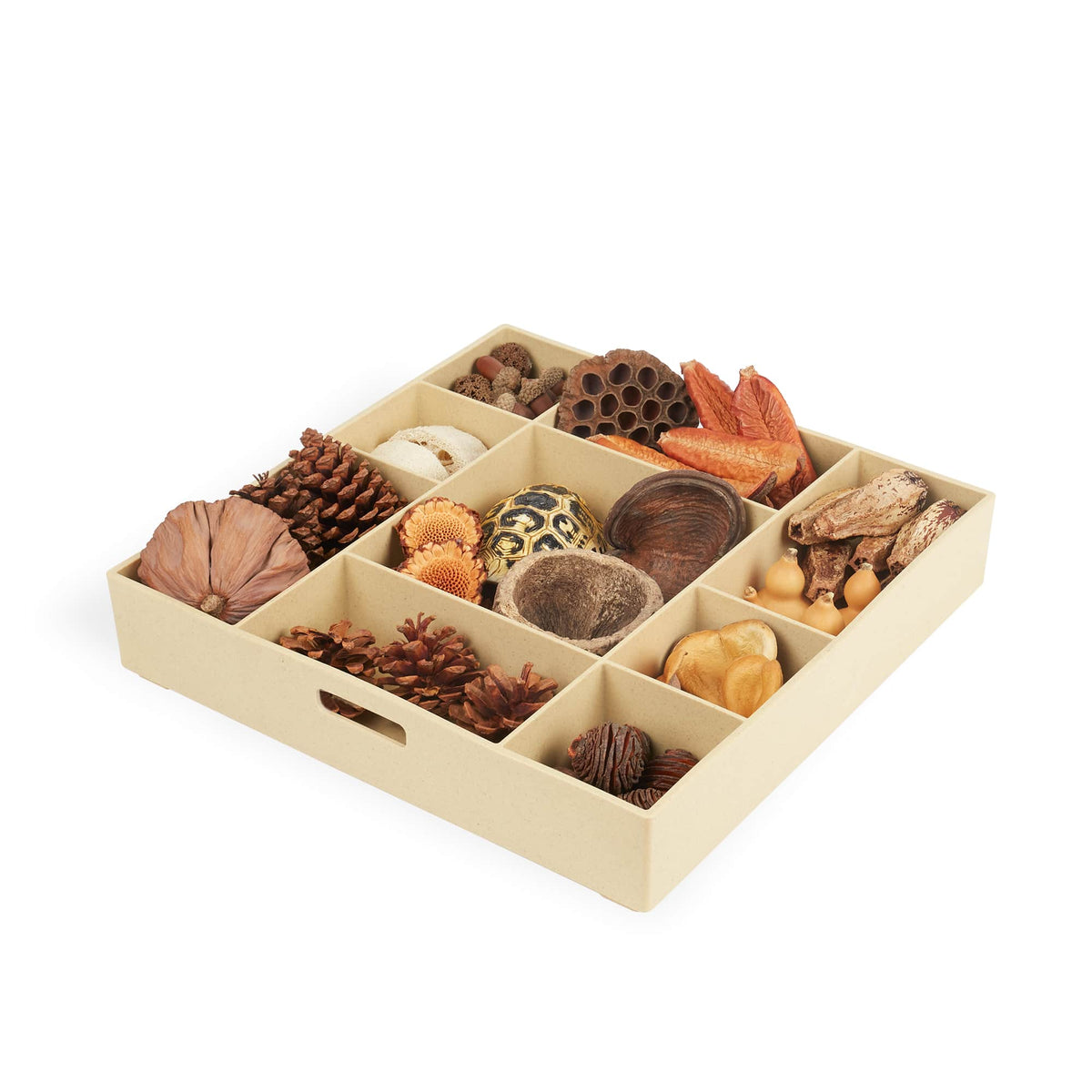 G4850 Nature's Geometry Product 1