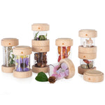 G3086 Treasure Tubes Clear Full Set | Clear