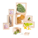 G3084 Treasure Blocks Clear | Clear