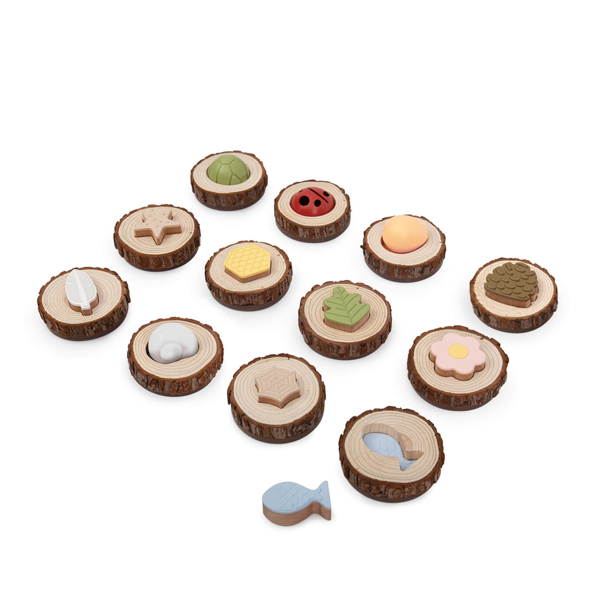 G5061 Nature Feel and Find 24 pc. set Product 1