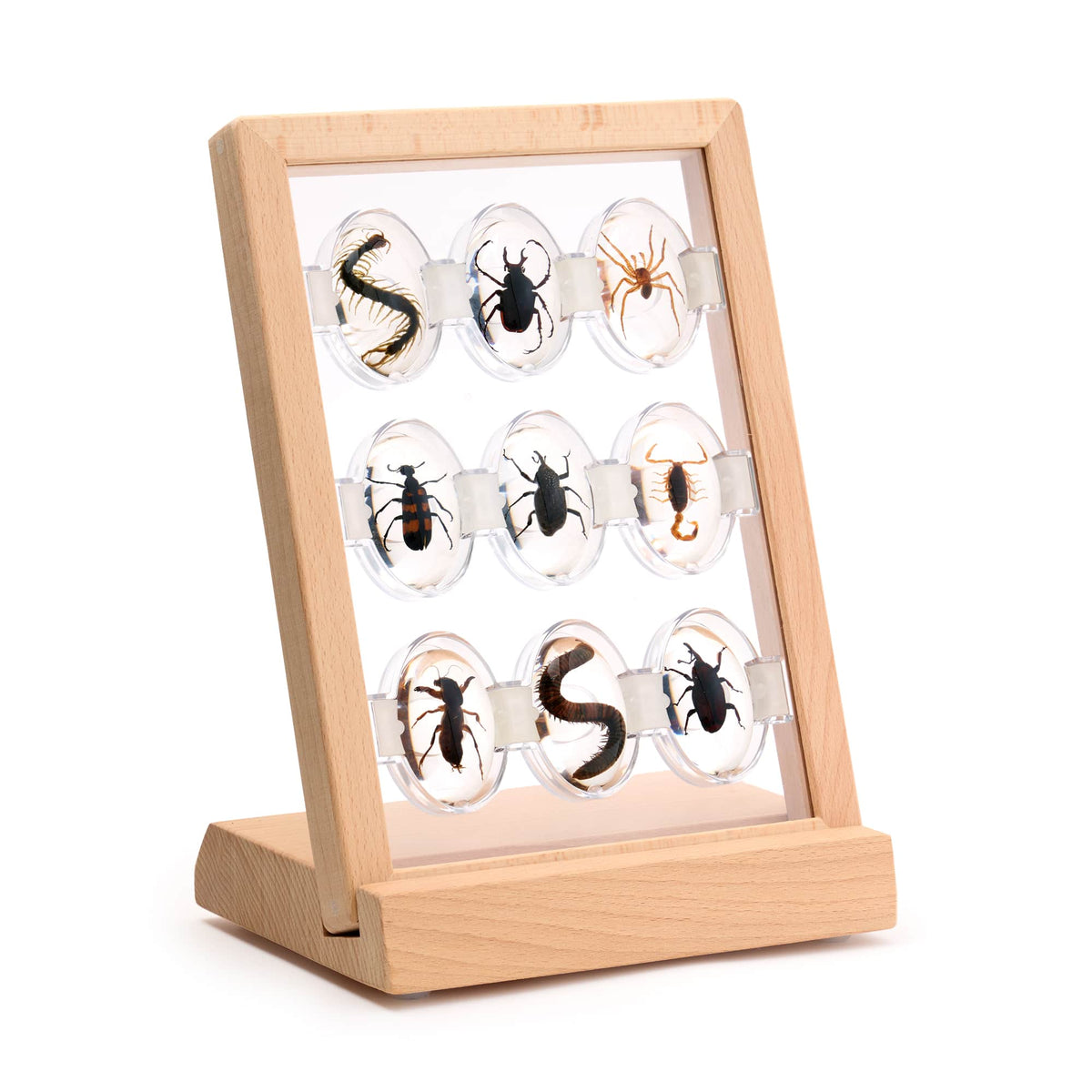 301316 Specimen Stones Creepy Crawlers 9 Stones Silo 1 | Creepy Crawlers