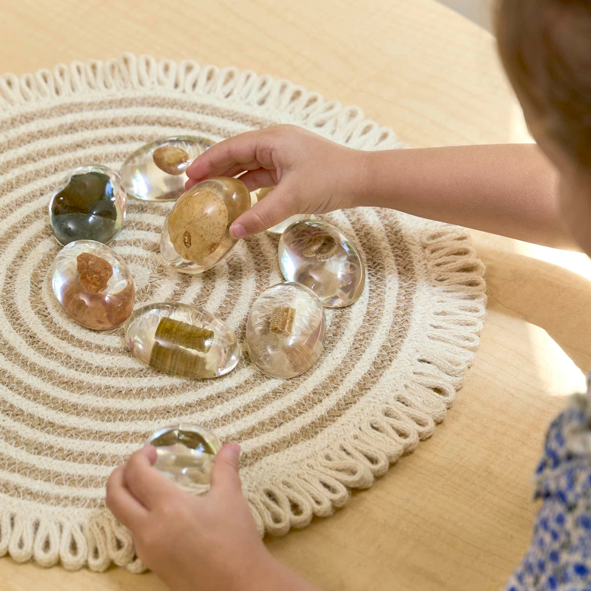 301315 Specimen Stones Fossils Lifestyle 281 | Fossils