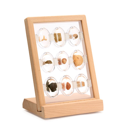 301315 Specimen Stones Fossils 9 Stones Silo 1 | Fossils
